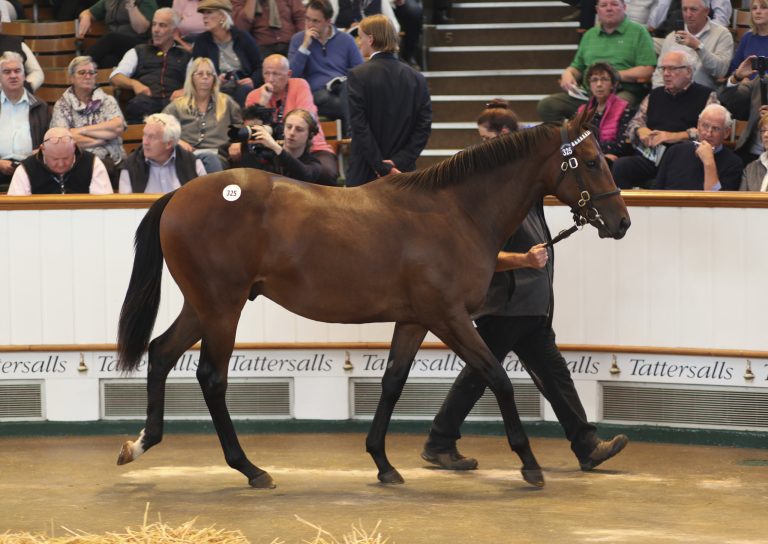 Tattersalls – Wo Rekorde nicht lange halten