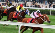 Trotz Ausfall von Able One: Die Mile bleibt in Hong Kong