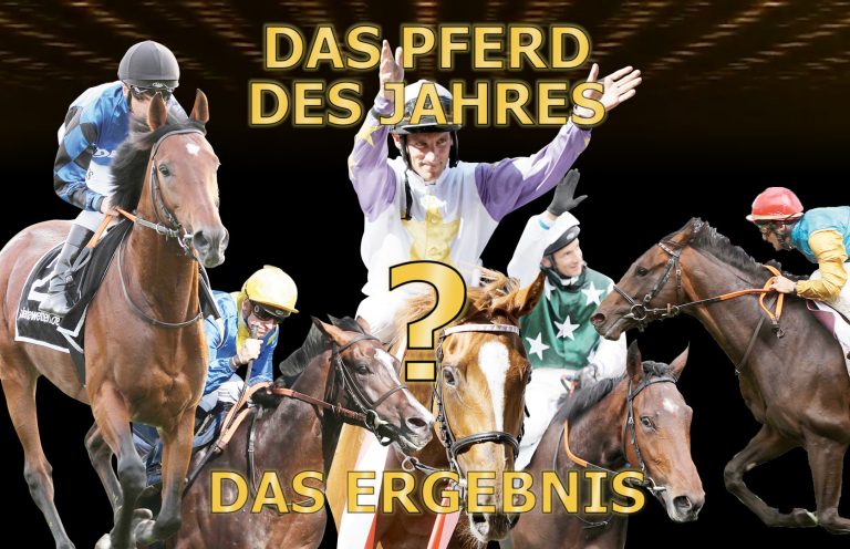 Ergebnis der Online-Awards 2017 – Das Pferd des Jahres