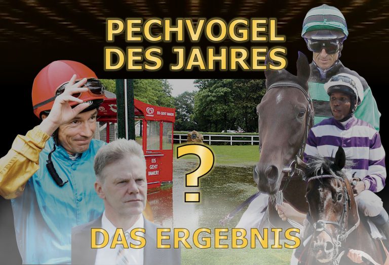 Online-Awards 2017 – Hier ist Ihr Pechvogel des Jahres