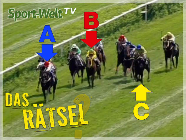 Das Rätsel Folge 16 – Kommt Ihr Favorit nach Hause?