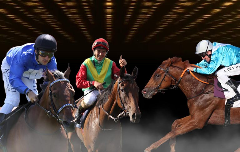 Ritt des Monats Juli – Die Kandidaten