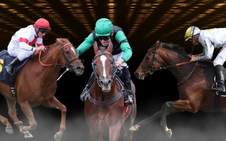 Klares Ergebnis beim Ritt des Monats Oktober