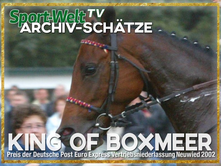 Kultpferd King of Boxmeer! Hier wiedersehen