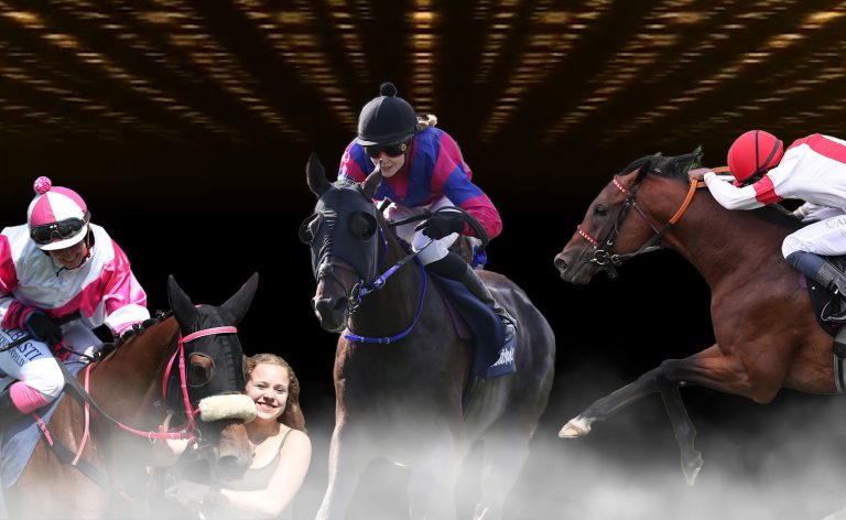 Ritt des Monats Juli – Die Kandidaten