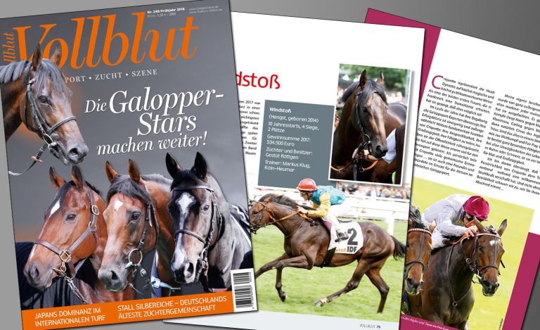 Die neue Vollblut erscheint kommende Woche