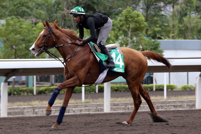 Boetticher: „Sind hingefahren, um zu siegen“