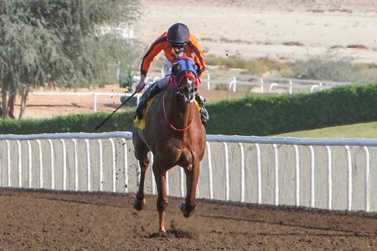 Alla Mahlak Foto: emiratesracing.com