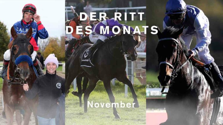 Ritt des Monats November – Hier ist das Ergebnis