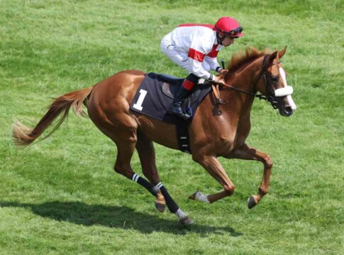 Ability am Dienstag mit Gerald Mosse in Deauville