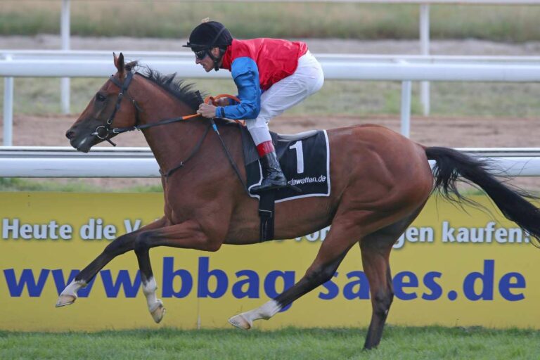 Aemilianus in den Farben des Gestüts Schlenderhan