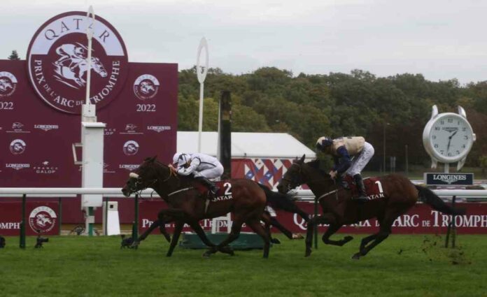 Al Qareem gewinnt den Prix de Chaudenay