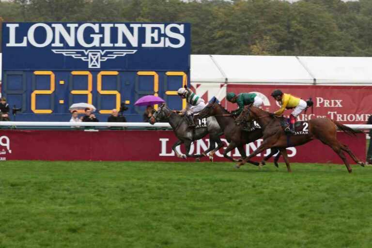 GOL: Das waren die zehn meistgelesenen Artikel 2022