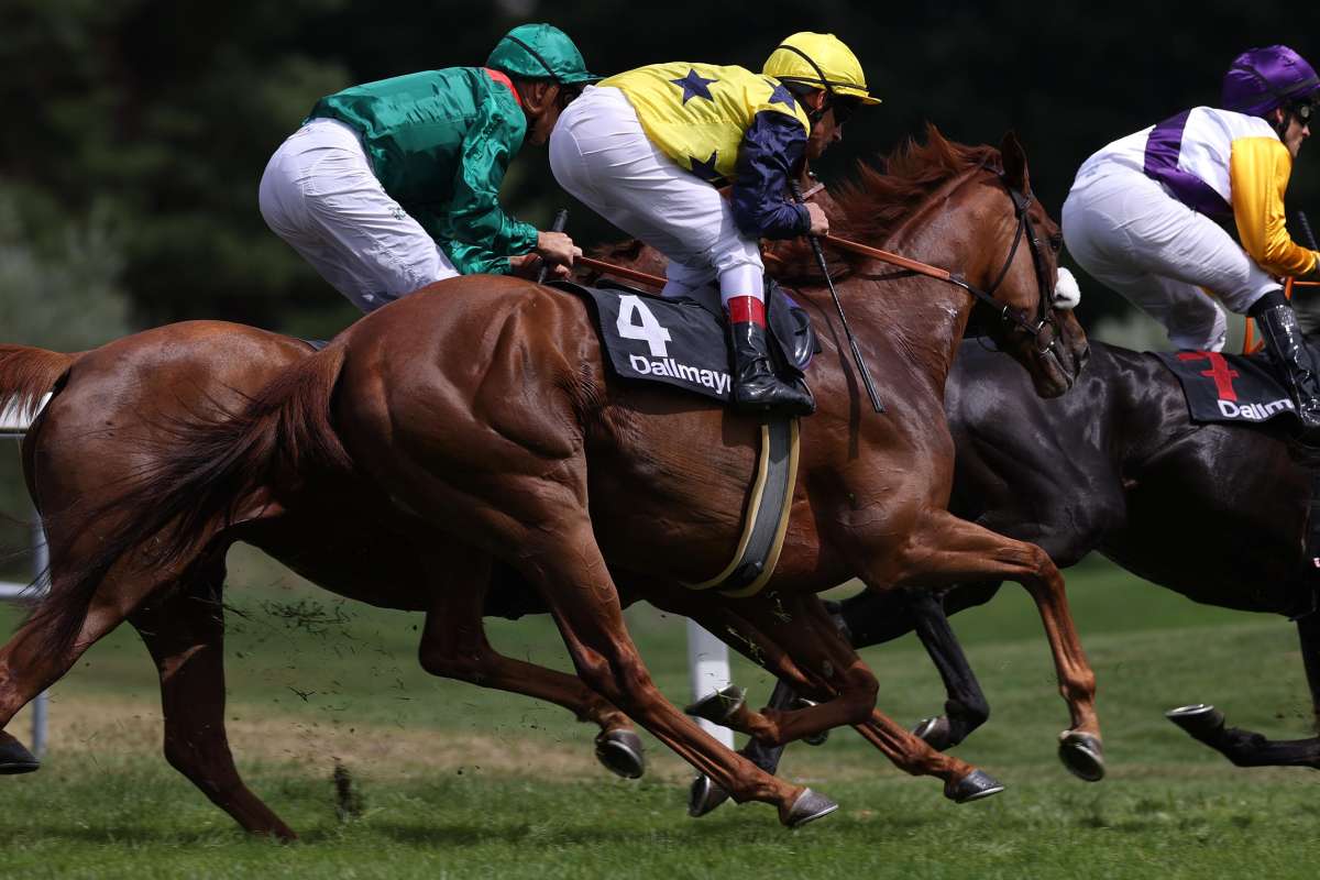 Belmont Stakes Weekend: Amazing Grace and Virginia Joy among ex-German-trained contenders