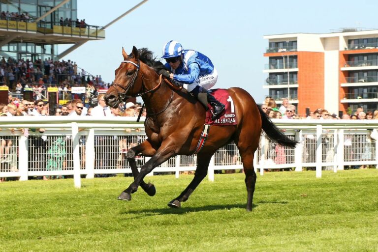 Baaeed Foto: racingphotos.com