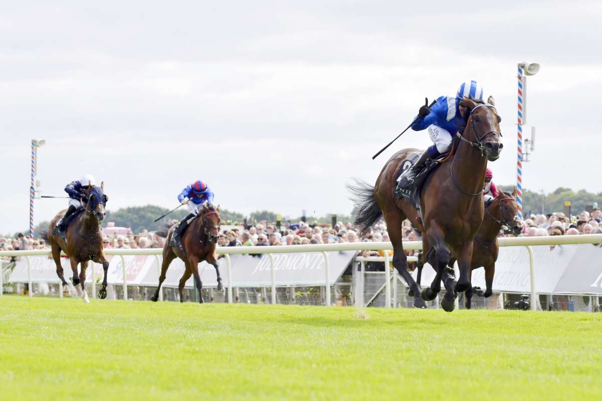 Decktaxe reduziert – Baaeed 2025 für 65.000 Pfund - GaloppOnline.de