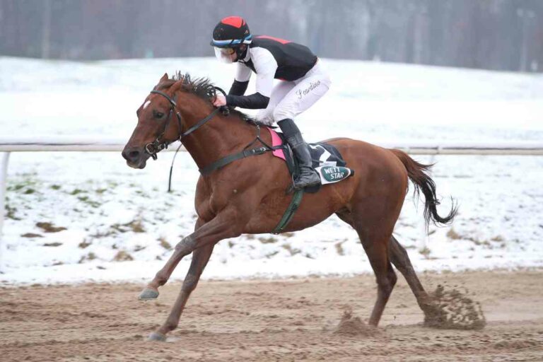 Bavaria Iron (Archiv)