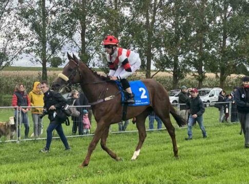 Billigheim: Elegant Fighter-Hattrick und zweimal Recke