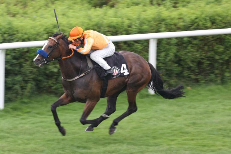 Nach dem Derby: Fünf PMU-Rennen am Horner Montagsrenntag