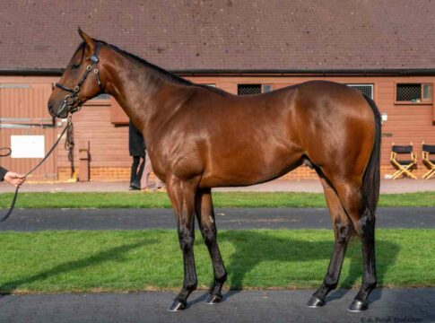 Sea The Moon ad Pearly Spirit (Foto: Tattersalls)