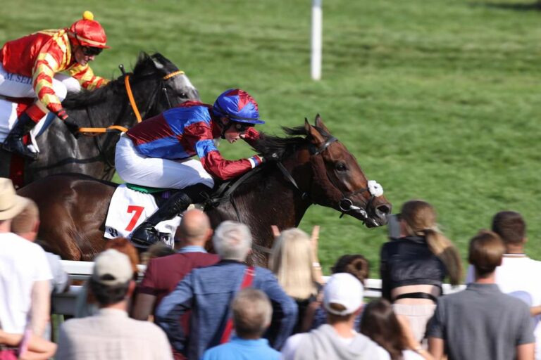 Dubawi Legend gewinnt die Goldene Peitsche