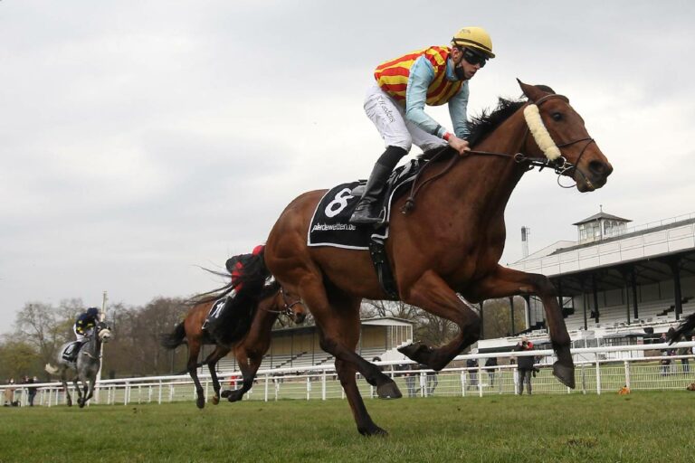 Feroe D'Illiat (Archiv)