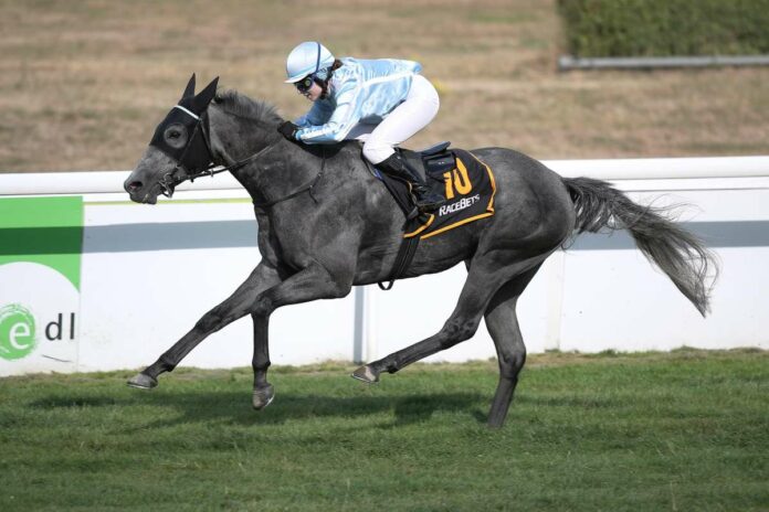 Freytag