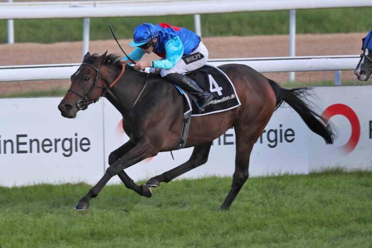 Gazeuse mit guter Stallform zum Ausgleich III-Sieg