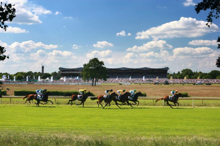 Sport-Welt TV Wett-Check für heute Hannover