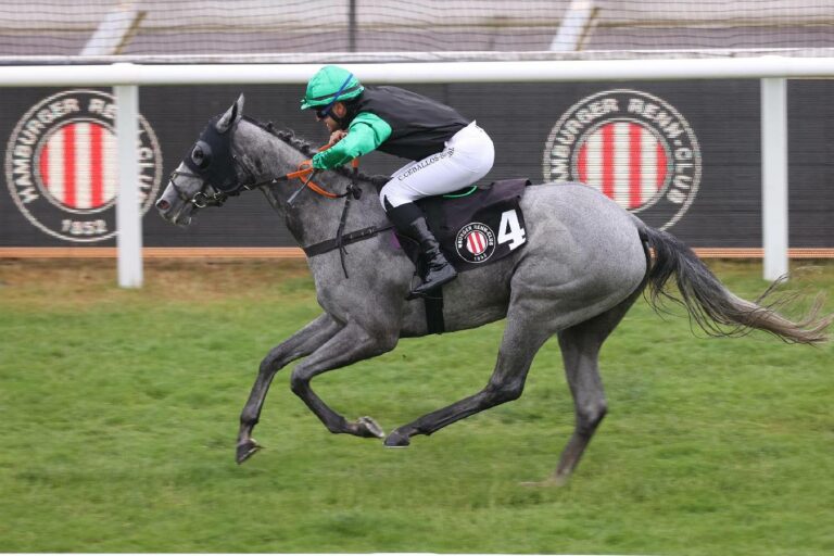 Healey unter Christoph Ceballos-Sanchez