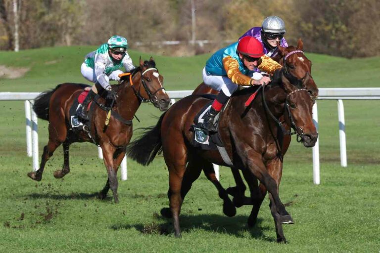 Kassada besiegt Napolitano