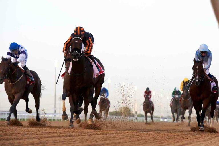 Kimbear in alten Farben Foto: dubairacingclub.com