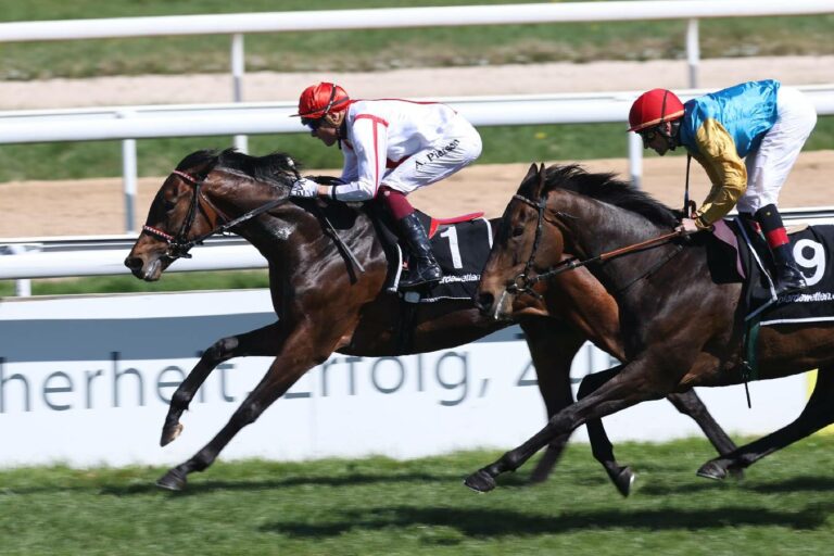 Lafarhho beim Sieg über Well Disposed