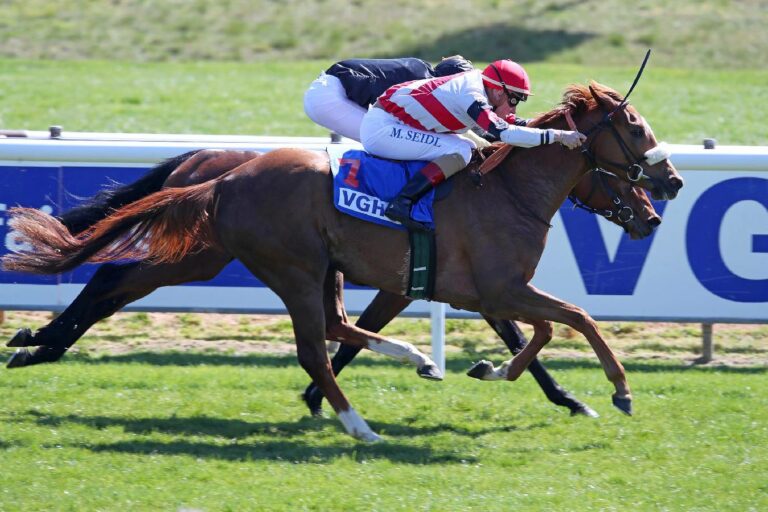 Lobelie ist nur eine von zwei Pferden mit Reiter