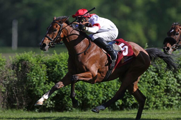 Flach oder Sprünge: Ex-Deutscher Loft für Start am Samstag vorgesehen