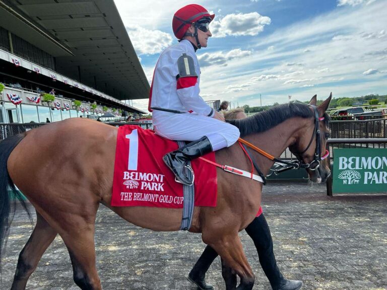 Loft startet am Samstag in den Chester Stakes