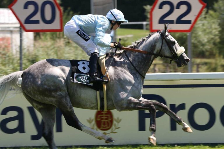 Louis unter Leon Wolff