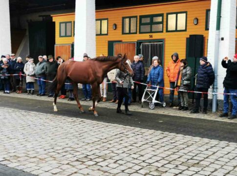 Züchtertreff auf Röttgen: Start im Rennstall