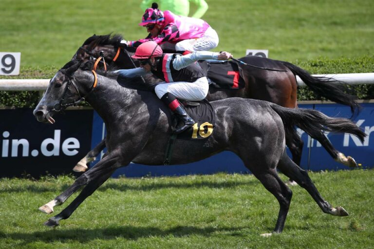 Mylady geht zur Fasig-Tipton November Sale