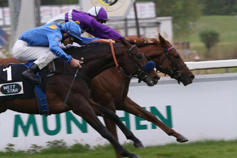 Nachtrose setzt sich gegen Assistent durch