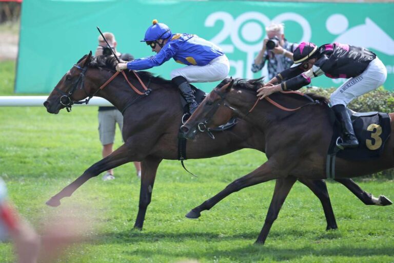 Niagaro siegt überlegen im Silbernen Band