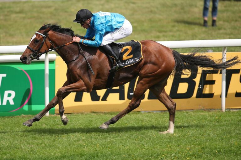 Night Holy und Peace Warrior Nichtstarter