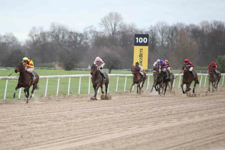 No Time To Wait (2.v.l.) war letztes Mal Zweiter