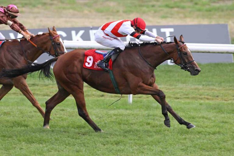 Nymara gewinnt das neue welle Auftaktrennen