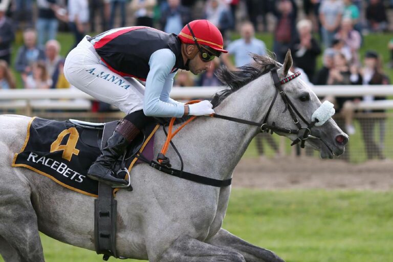 Cagnes-Grand Prix-Starterin Palatina nach England verkauft