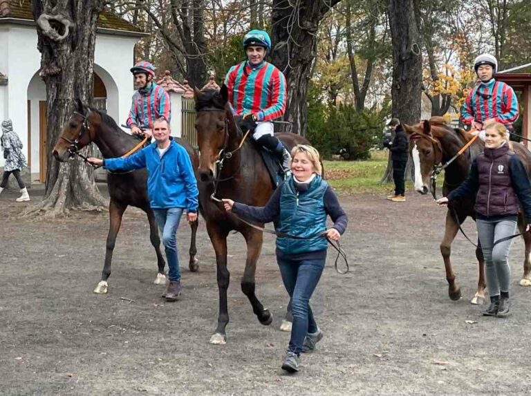 Sunny Sun führt das Paulick-Trio an