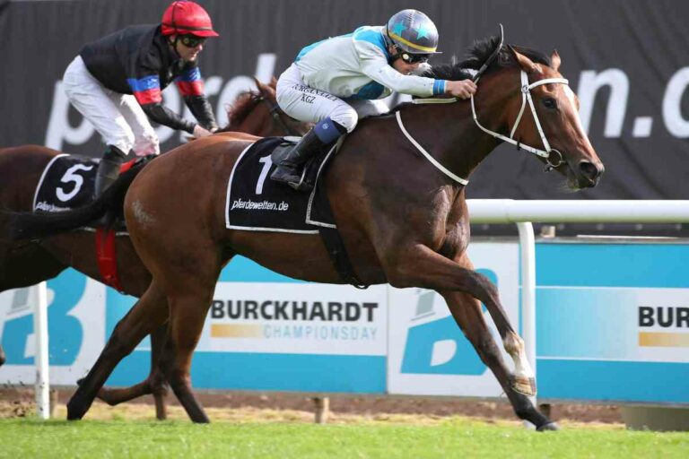 Nette Karte am Samstag in Hoppegarten – Sechs Rennen ab 14:30 Uhr