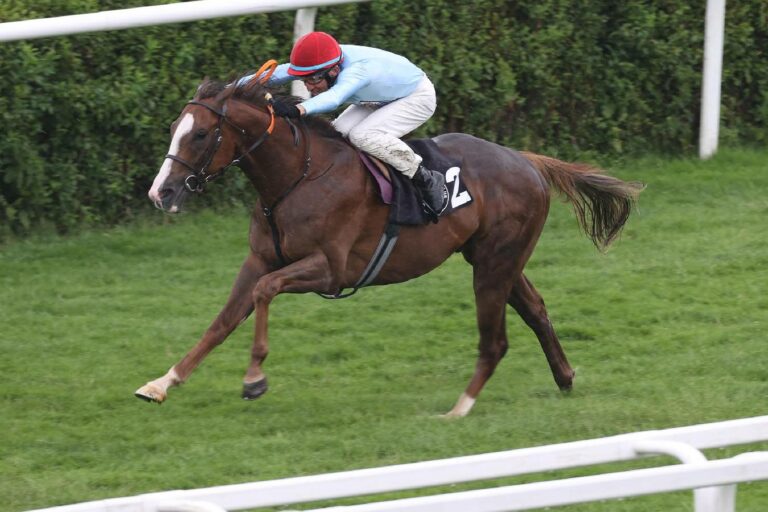 Power Daddy (Archiv)