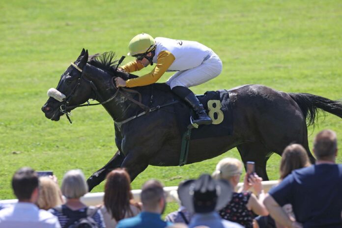 Powerstown (Archiv)