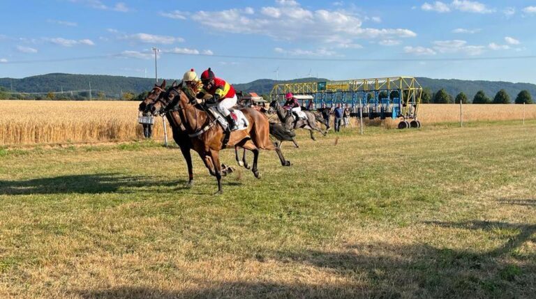 Prince Percival (vorne)